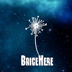 bricehere (@bricehere) profile picture